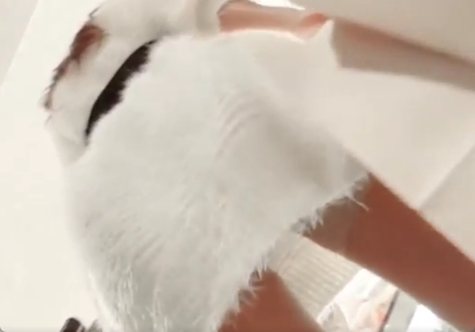 デパートで買い物中のセレブ！スカートの中身を覗いちゃいましょうｗ