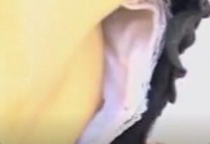 乳首が見えてこそ本物の胸チラ動画と言えましょう！